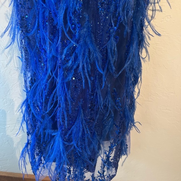 Portia and Scarlett Royal Blue Feathered Gown - Picture 9 of 14